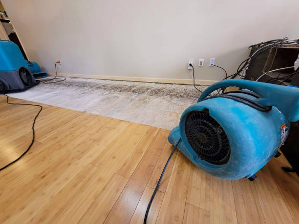 Professional Emergency Water Damage technician working in Hope, RI